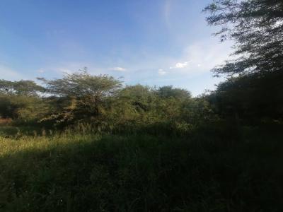 SAN MIGUEL SUB URBANO , Cruce Boquerón, Boquerón 9370, Paraguay