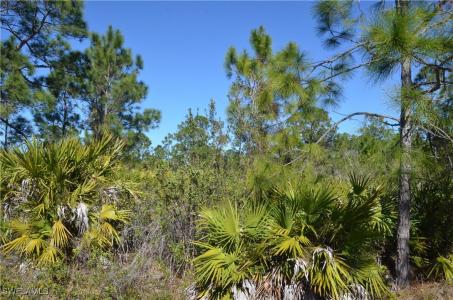 1604 W 14th Street, Lehigh Acres, 佛羅里達州 33972, 美國