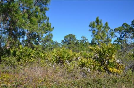 1604 W 14th Street, Lehigh Acres, 佛羅里達州 33972, 美國