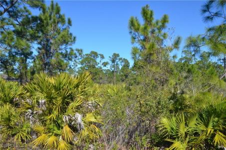 1604 W 14th Street, Lehigh Acres, 佛羅里達州 33972, 美國