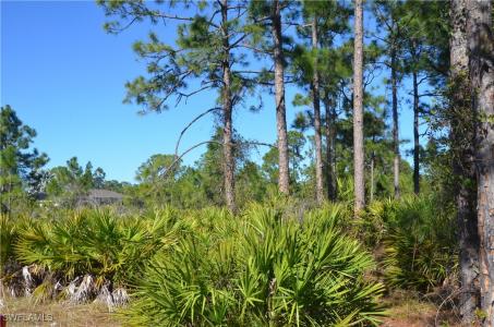 1602 W 14th Street, Lehigh Acres, 佛羅里達州 33972, 美國