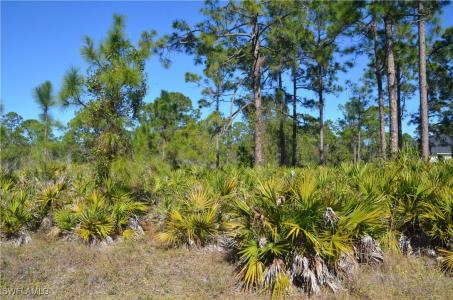 1602 W 14th Street, Lehigh Acres, 佛羅里達州 33972, 美國