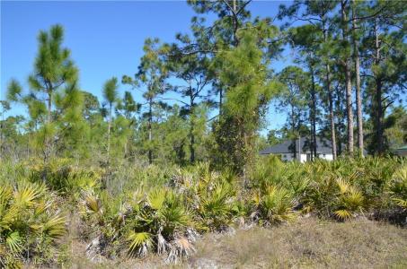 1602 W 14th Street, Lehigh Acres, 佛羅里達州 33972, 美國