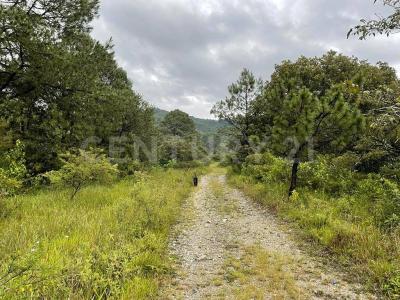 Gigantes 1,, Valle De Bravo, Estado De México 51200, Mexico