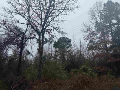 TBD Liberty Church Rd, Marshall, Teksas 75672, USA