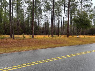 Cypress Crossing Road, Vernon, Floride 32462, États-Unis
