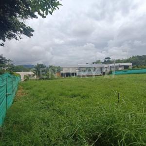 Pereira, Risaralda 00001, Colombia