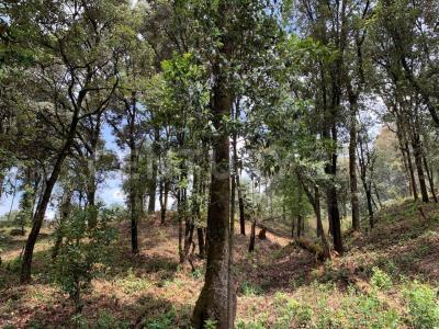 San Simón El Alto s/n,, Valle De Bravo, מקסיקו 51240, מקסיקו 