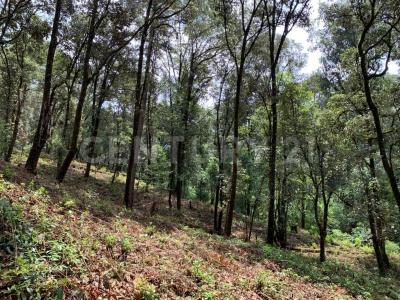 San Simón El Alto s/n,, Valle De Bravo, מקסיקו 51240, מקסיקו 