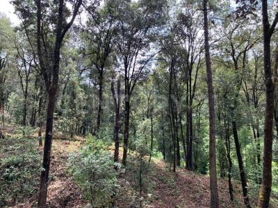 San Simón El Alto s/n,, Valle De Bravo, מקסיקו 51240, מקסיקו 