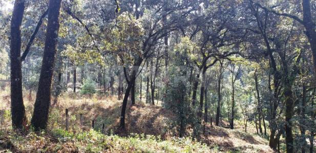 San Simón El Alto s/n,, Valle De Bravo, מקסיקו 51240, מקסיקו 