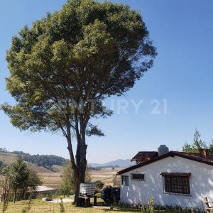 Villa de Allende s/n,, Villa De Allende, Meksyk (stan) 51000, Meksyk
