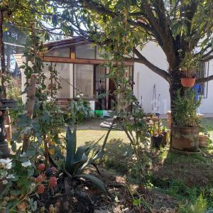 Villa de Allende s/n,, Villa De Allende, Meksyk (stan) 51000, Meksyk