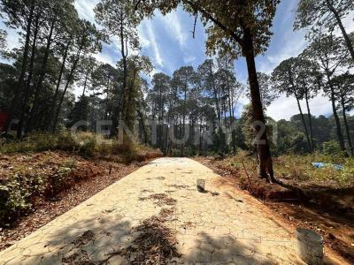 Avándaro s/n,, Valle De Bravo, Meksika Eyaleti 51200, Meksika