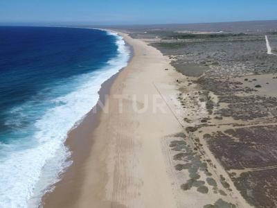 La Paz, Baja California Sur 23300, Mexico