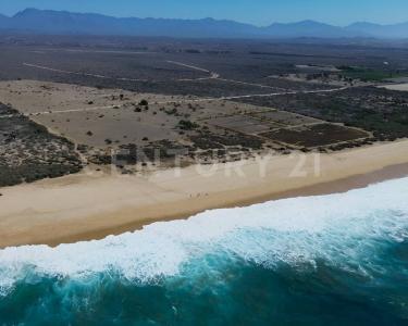 La Paz, Baja California Sur 23300, México