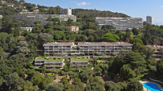 Cannes, Provence-Alpes-Côte d'Azur 06400, France