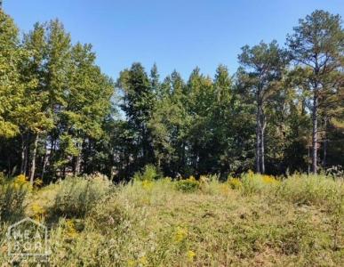 3806 S Culberhouse, Jonesboro, アーカンソー 72404, アメリカ合衆国