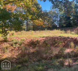 3806 S Culberhouse, Jonesboro, Arkansas 72404, USA