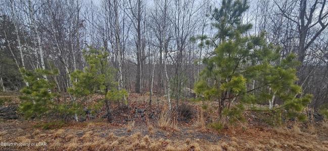 TT Lot 497 White Oak Lane, Hazle Twp, Pennsylvanie 18202, États-Unis