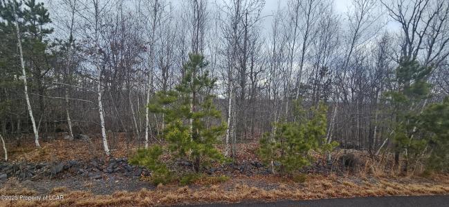 TT Lot 497 White Oak Lane, Hazle Twp, Pennsylvania 18202, Stati Uniti
