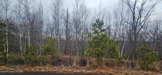 TT Lot 497 White Oak Lane, Hazle Twp, Pennsylvania 18202, Stati Uniti