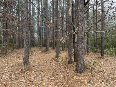 88 Cape Hatteras Point , Oriental, North Carolina 28571, USA