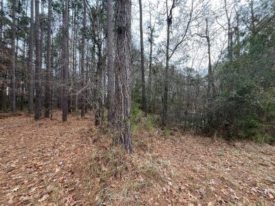 88 Cape Hatteras Point , Oriental, NC 28571, USA