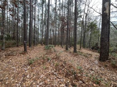88 Cape Hatteras Point , Oriental, North Carolina 28571, USA