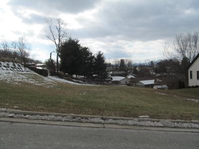 310 Stoneledge Drive, Roanoke, Virginia 24019, USA