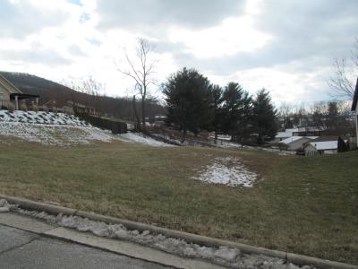 310 Stoneledge Drive, Roanoke, Virgínia 24019, Estados Unidos