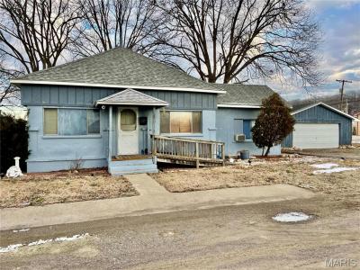 115 Cook Avenue, Chaffee, Missouri 63740, USA