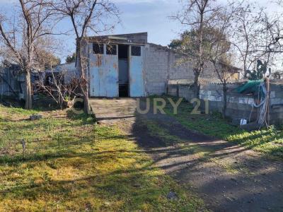 Belpasso, Sicilia 95032, Italy