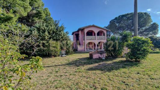 Pian dei bichi, Roccastrada, Toscana 58036, İtalya