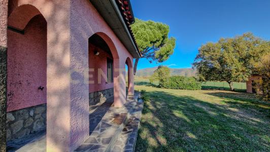 Pian dei bichi, Roccastrada, Toscana 58036, İtalya