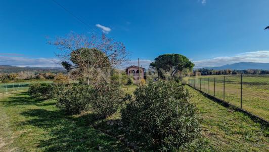Pian dei bichi, Roccastrada, Toscana 58036, İtalya