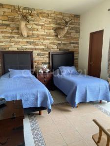 Villa de los Olmos 11,, Naucalpan, 墨西哥州 53297, 墨西哥