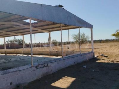 El Quelele S/N,, La Paz, Baixa Califórnia Do Sul 23203, México