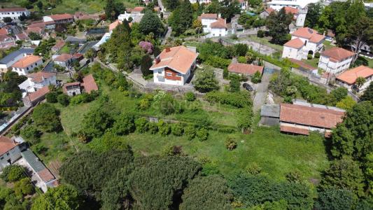Oliveira De Azeméis, Авейру 3720-382, Португалия