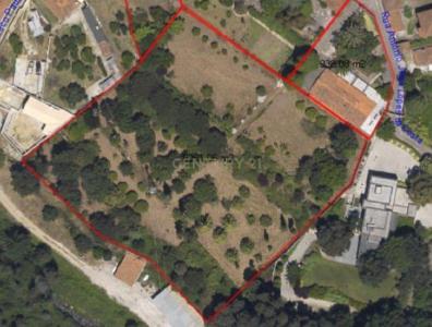 Oliveira De Azeméis, Авейру 3720-837, Португалия