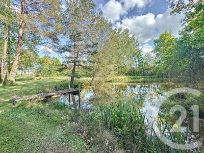 Vannes Sur Cosson, Centre 45510, France