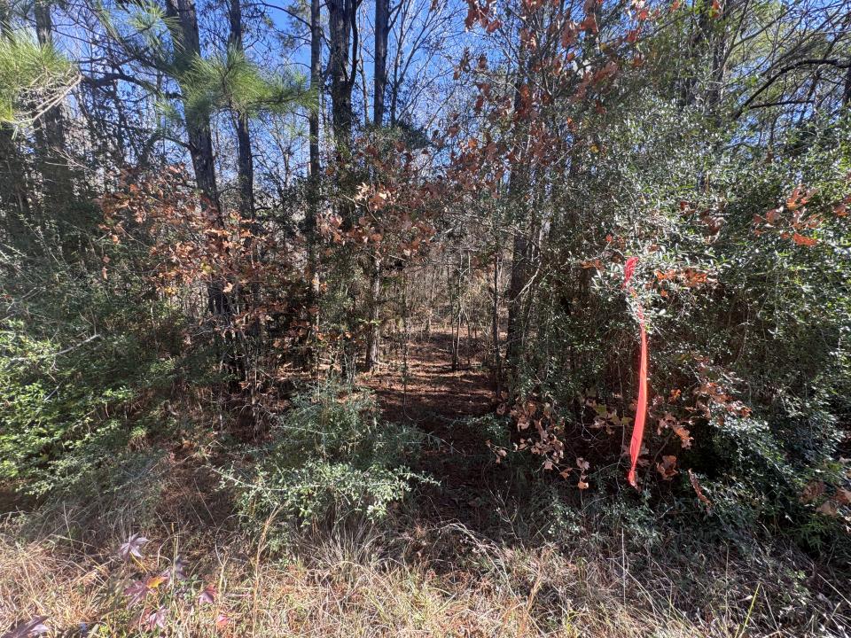 Hwy 111, Deridder, Louisiana 70634