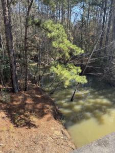 Hwy 111, Deridder, Louisiana 70634
