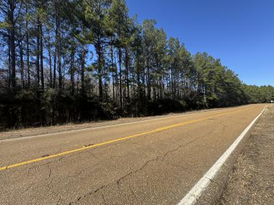 Hwy 111, Deridder, Louisiana 70634