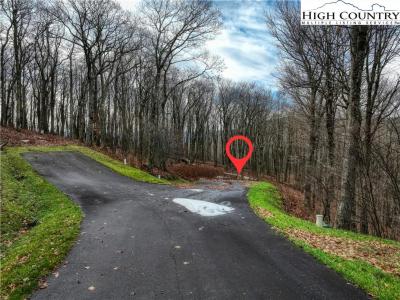Lot 97 Elk Creek Mtn Parkway, Todd, 노스 캐롤라이나 28684, 미국