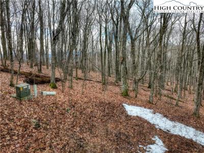 Lot 97 Elk Creek Mtn Parkway, Todd, 노스 캐롤라이나 28684, 미국