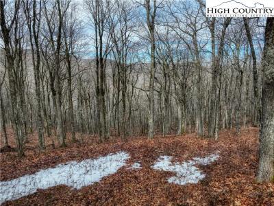 Lot 97 Elk Creek Mtn Parkway, Todd, 노스 캐롤라이나 28684, 미국