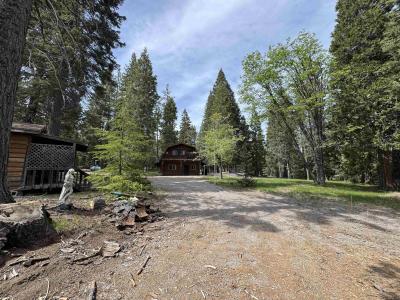 6320 Mt. Shasta Dr, McCloud, カリフォルニア 96057, アメリカ合衆国
