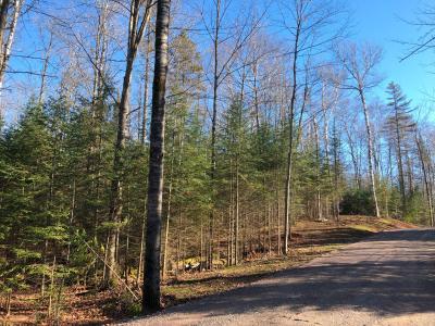 Lot 4 East Bay Rd, Presque Isle, Wisconsin 54557, Estados Unidos