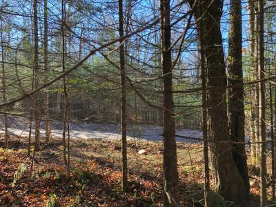 Lot 4 East Bay Rd, Presque Isle, Wisconsin 54557, Estados Unidos